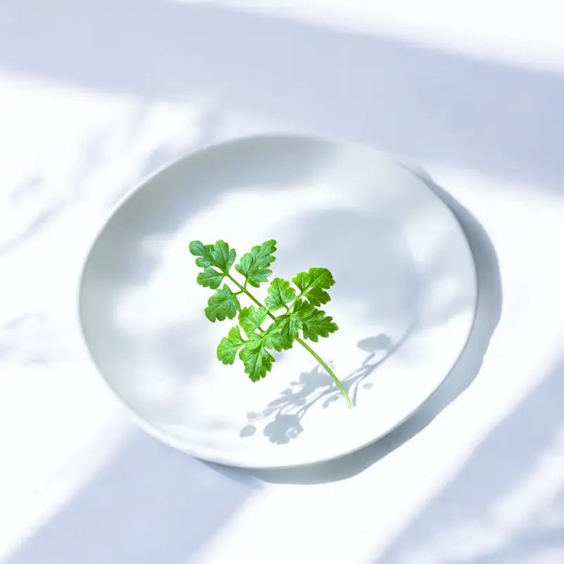 Chevril microgreens — Casa Verde Microfarm